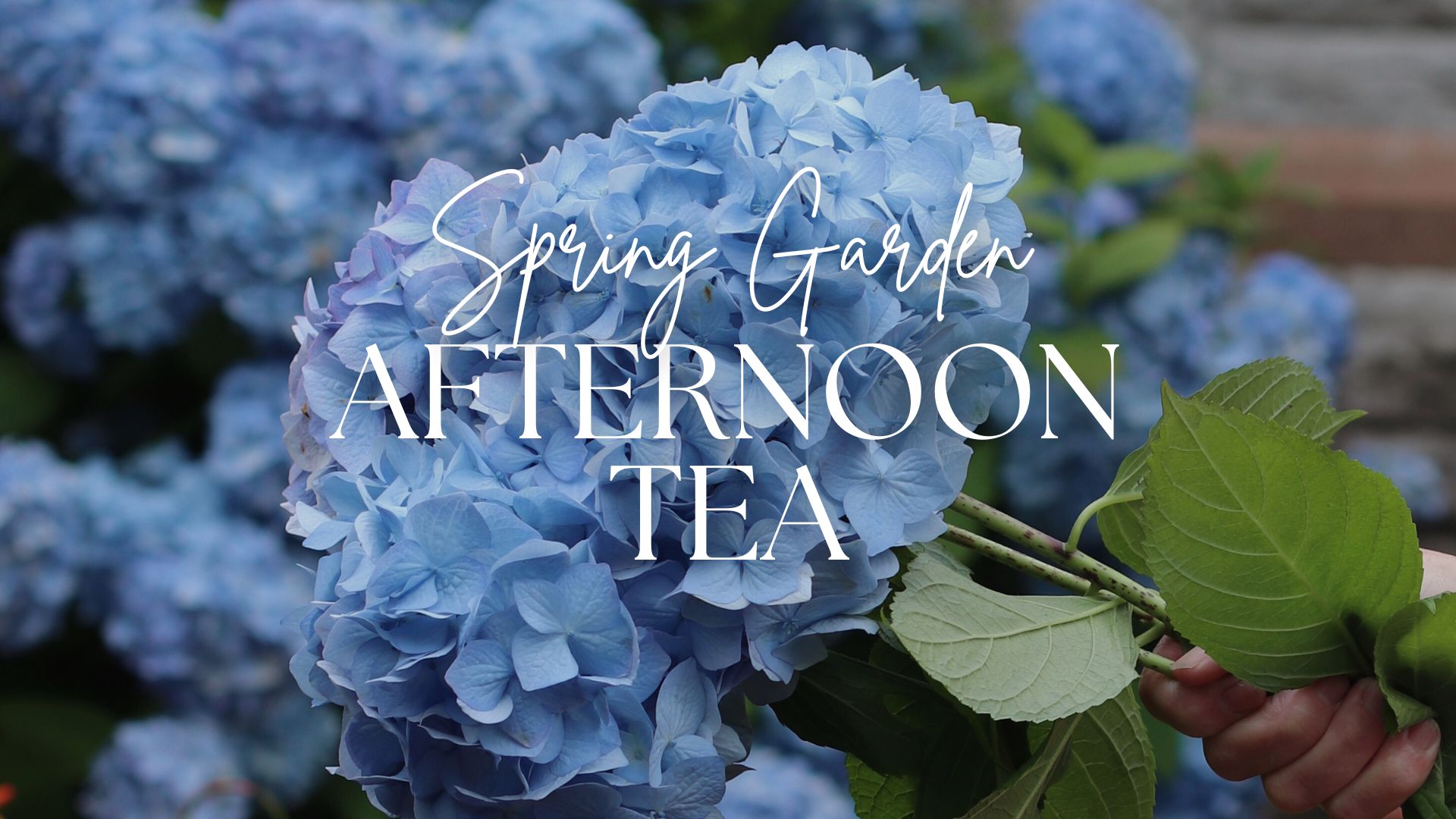 Spring Garden Afternoon Tea