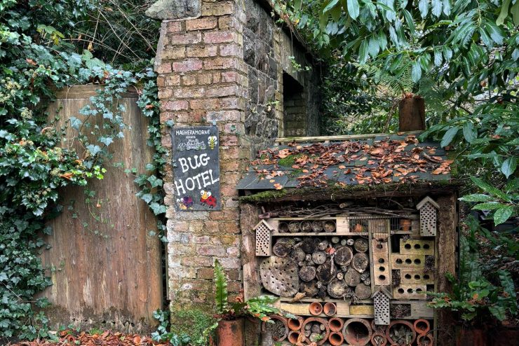 Magheramorne Estate biodiversity and sustainability at our bug hotel