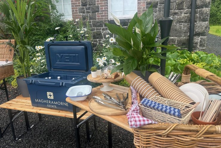 Corporate picnic at Magheramorne Estate