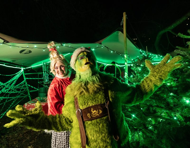 Christmas experience Santa trail grinch