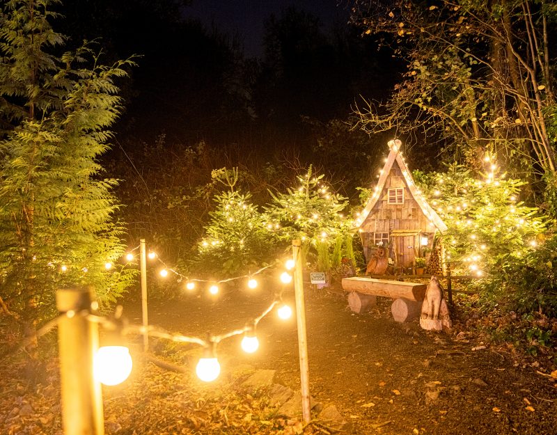 Christmas experience Santa trail