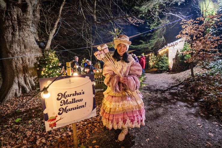 Marsha Mallow Christmas experience Santa trail