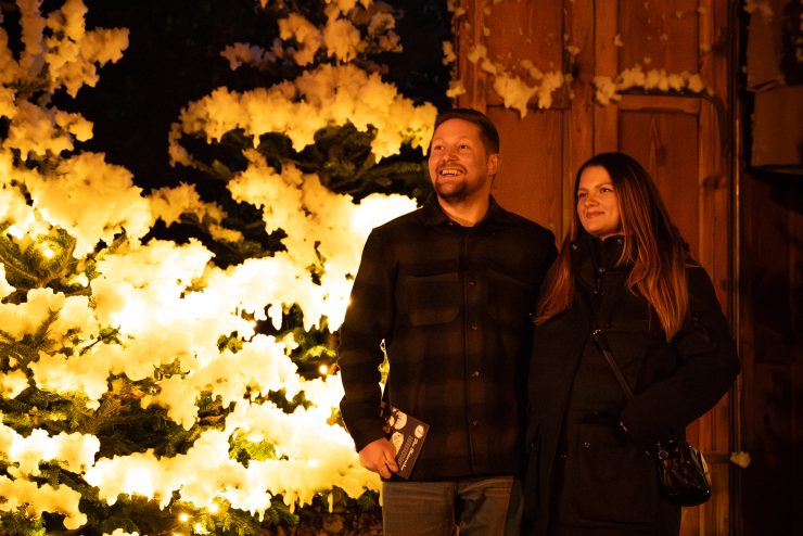 Under The Mistletoe at magheramorne estate