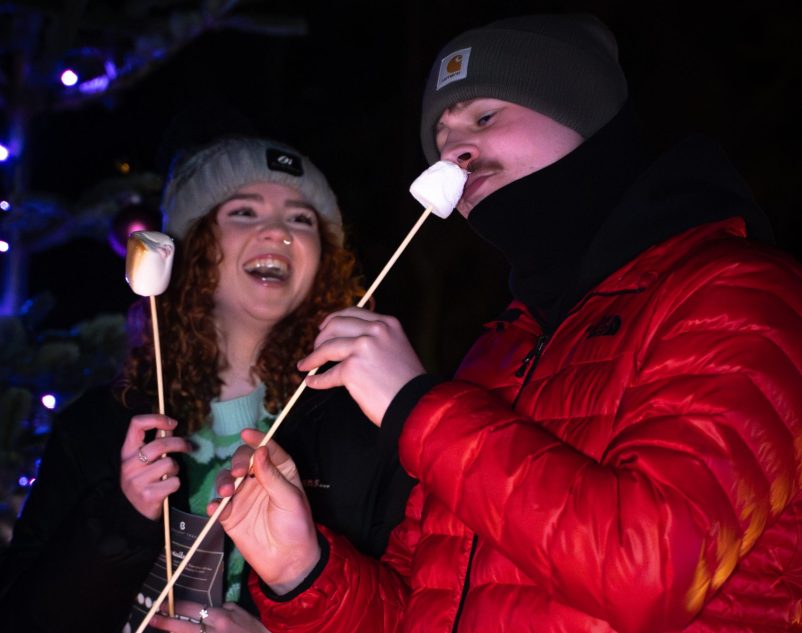 Under The Mistletoe at magheramorne estate
