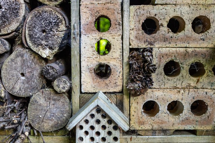 Magheramorne Estate biodiversity and sustainability at our bug hotel