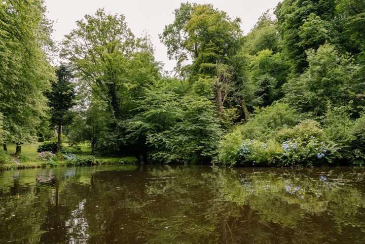 Magheramorne Estate biodiversity and sustainability at our pond